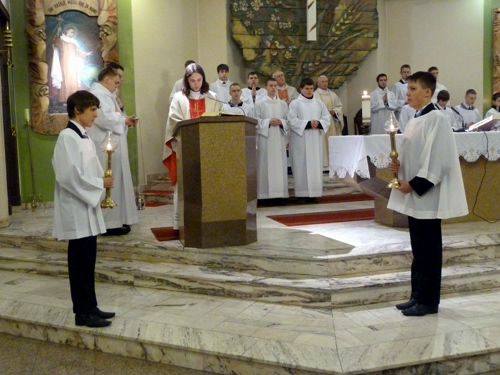 P1030350_aY_medium.jpg