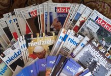 100. artykuł opublikowany w gazecie