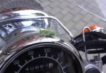 Do szkoły z pasażerem