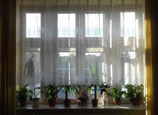 Dom z oknem na świat