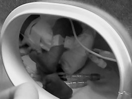 Pożegnanie dzieciątka i słowa…