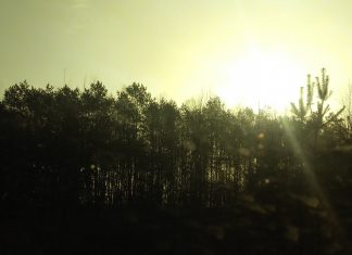 Niedziela Zmartwychwstania 2016