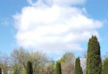 W seminaryjnym ogrodzie