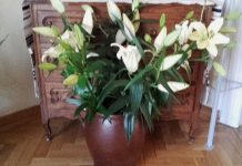 Życzenia rocznicowe