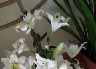 Bo ze szczerego serca