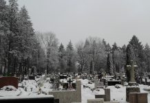 Moje hospicyjne dziecko, jest już na kolanach Jezusa