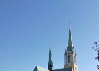 W cieniu i słońcu mojej katedry