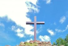 Historyczne lasy niedzielnym popołudniem