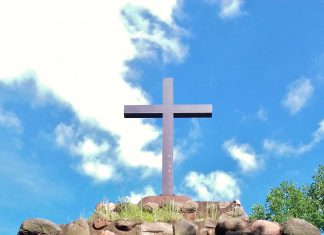 Historyczne lasy niedzielnym popołudniem