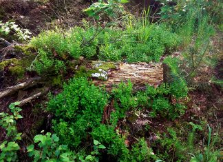 Świat, który Pan Bóg tak urządził