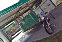 Bo o rumaka trzeba dbać…