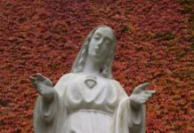 Nowenna przed Fatimą