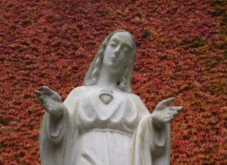 Nowenna przed Fatimą