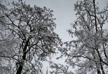 Wyglądasz za okno, a tu… biało!