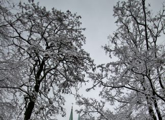 Wyglądasz za okno, a tu… biało!