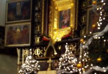 Margaretka od parafian