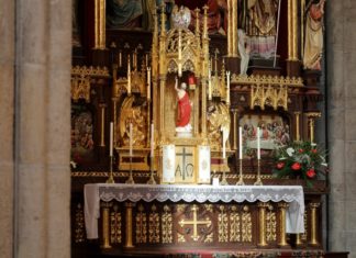 Moja katedra jest piękna!