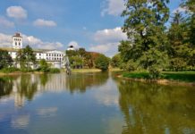 trudno dostrzegalne piękno mojego miasta