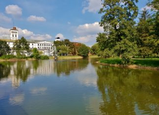 trudno dostrzegalne piękno mojego miasta