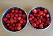 Sezon na truskawki rozpoczęty…