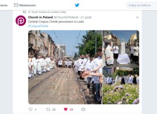 Cytowanie i moje zdjęcia w internetach