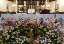 Witaj Święta Wniebowzięta – Niepokalana!