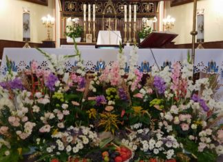 Witaj Święta Wniebowzięta – Niepokalana!