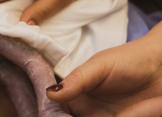 Pan dał! Pan zabrał! – odszedł anioł…