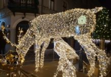 Świąteczna szata miasta – 2019