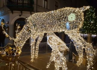 Świąteczna szata miasta – 2019