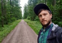 Wakacyjny las w fotografii