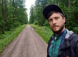 Wakacyjny las w fotografii