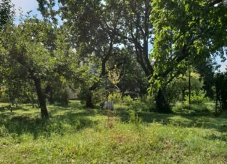 Letnie koszenie trawy