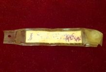 Pamiątkowa opaska szpitalna