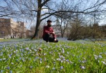 Wiosna w parku koło mojego domu