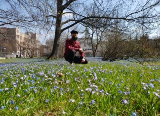 Wiosna w parku koło mojego domu