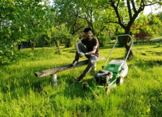 Wiosenne strzyżenie… trawy!