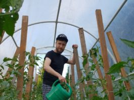 Podlewanie – rolnik sam w dolinie