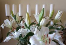 Rocznicowe Lilie #13
