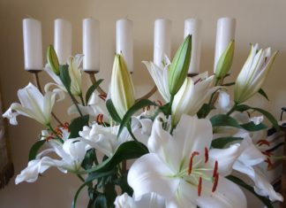 Rocznicowe Lilie #13