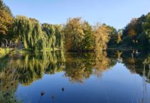 Jesienny spacer po parku