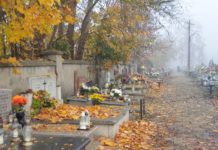 Uroczystość Wszystkich Świętych – rodzinne spotkanie, modlitwa, kwiaty i znicze