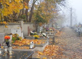 Uroczystość Wszystkich Świętych – rodzinne spotkanie, modlitwa, kwiaty i znicze
