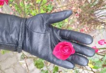 Listopadowy spacer po parku