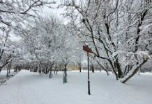 Zima 2023 w mieście… w obiektywie