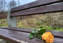 14 lutego i historia róży…