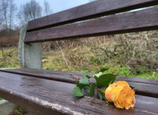 14 lutego i historia róży…