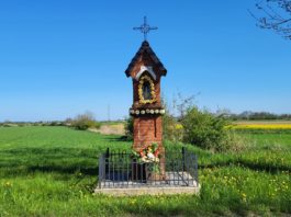 Przydrożne kapliczki – umajone w maju…