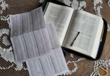 Pismo Święte przeczytane przez cały rok