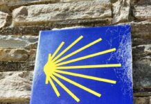 A może by tak wyruszyć w tym roku na #CAMINO?